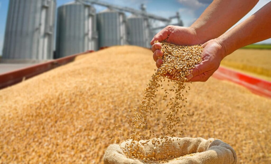 agriculture-stockage-comment-1140x694