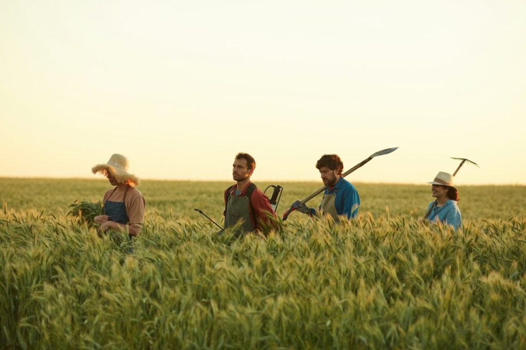 workers-walking-in-rye-field.jpg